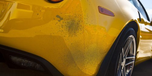 Paint over-spray removal detailing Auto Detailing Cowboy Auto Detailing Laramie, Wyoming